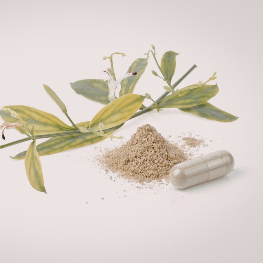 Supplement-6